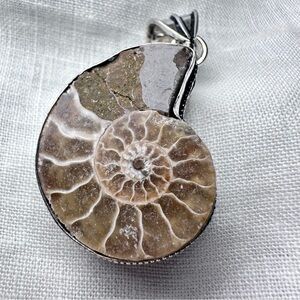 Hand Crafted Brown and Cream Ammonite Fossil Pendant Necklace